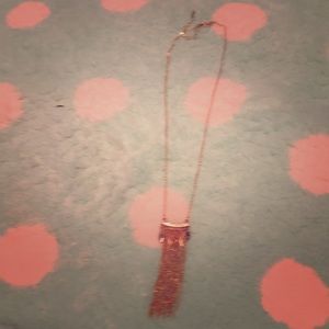Gold Chain Tassel Necklace